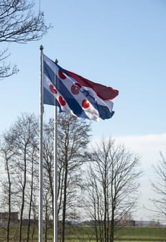 the friesland and dutch flag together in the wind