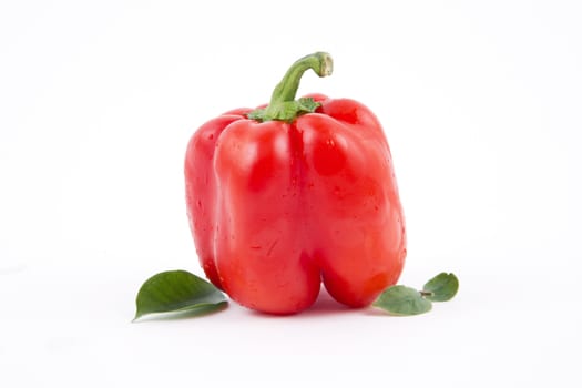 Fresh red paprika on a white background.