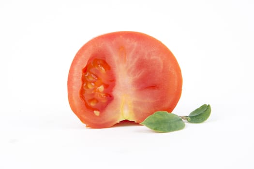 Fresh slice tomato on a white background.