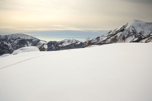 Winter landscape in a cloudy day with soft light in the background