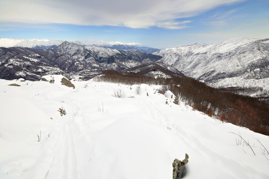 Winter landscape in a cloudy day with soft light in the background