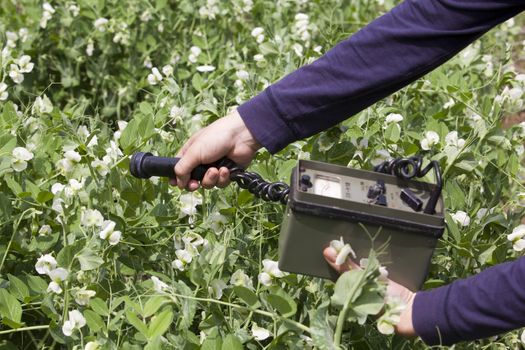 Measuring radiation levels of vegetables