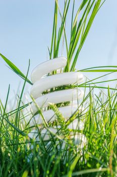 white eco bulb in green grass