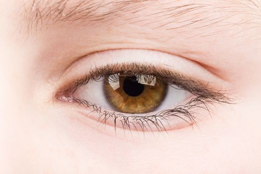 Beautiful young teenager health brown eye macro