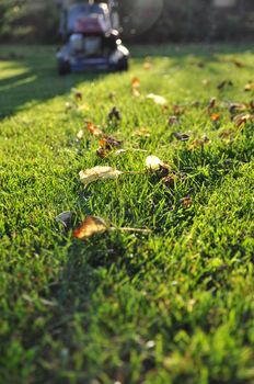 Lawnmower at autumn