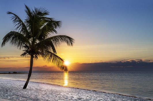 Beautiful sunrise at Key West, Florida, USA