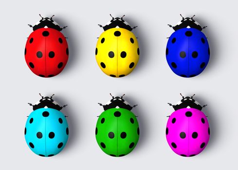top view of six ladybugs with the back colored with different colors