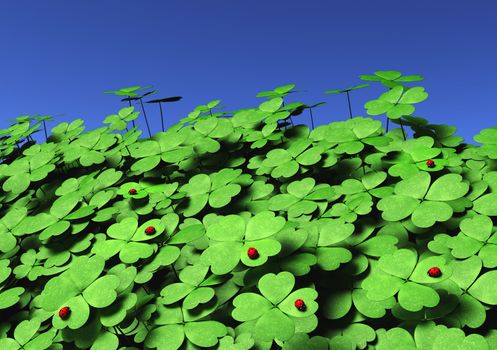 view of a group of four-leaf clovers of different height and dimensions with some ladybugs on their leaves, on a blue sky background