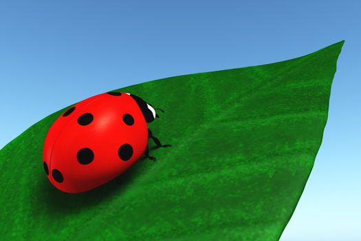 closeup of a red ladybug that stands on a green leaf, on a blue sky as background
