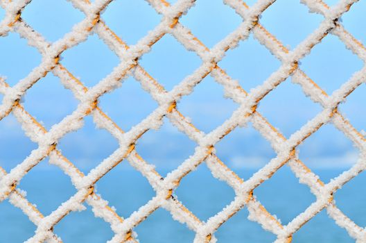 macro shoot with snow on fence

