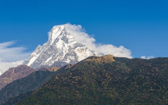 The Machapuchre in the Annapurna region,  Nepal