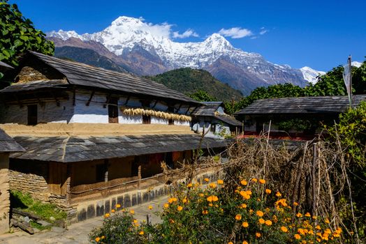 Ghandruk village and the Annapurna South and the Hiunchuli in the background, Nepal