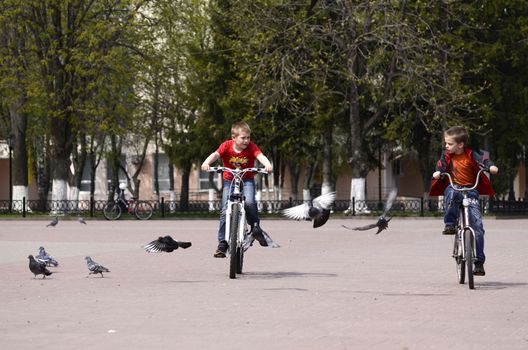 Two boys, spring day ride bikes on the street, next flying pigeons