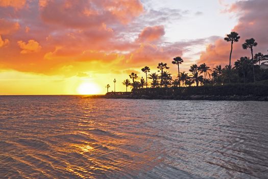 Sunset at the beach on Aruba