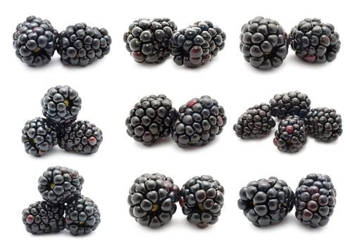 Collection of fresh blackberry isolated on white background