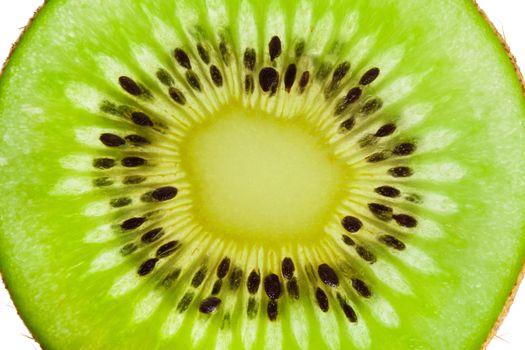 Macro photo of fresh juicy kiwi fruit