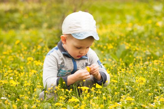 Boy plays with flowers on the meadows