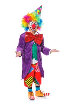 Cute boy clown. Isolated on white background.