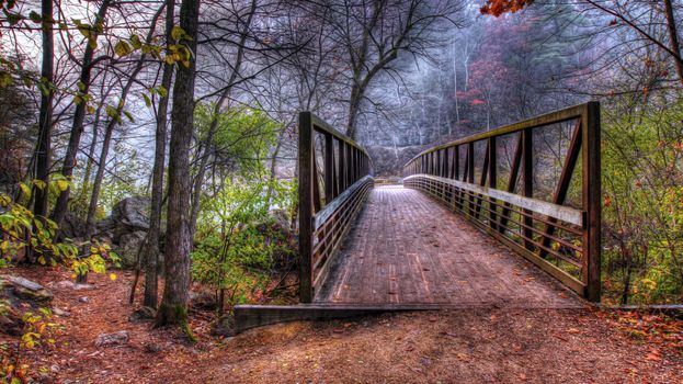 Creek and Bridge in HDR. Fall colors in soft focus