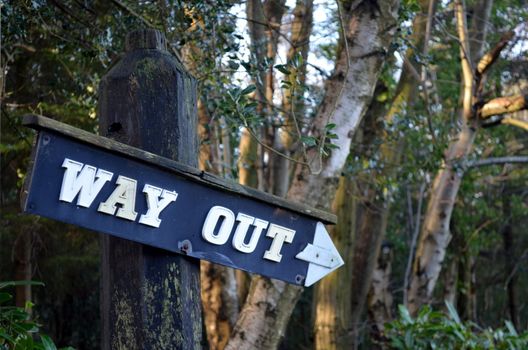 Way out sign attached to a wooden post.
