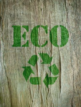 The word eco imprinted into the bark of a tree with a recycling symbol