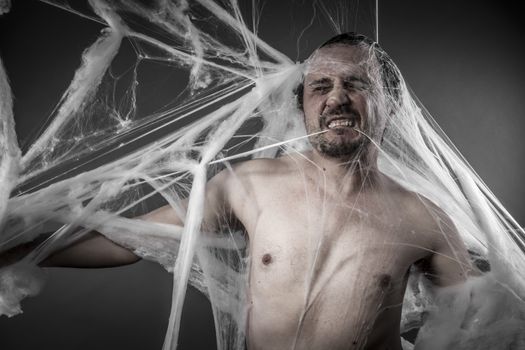 network. man tangled in huge white spider web