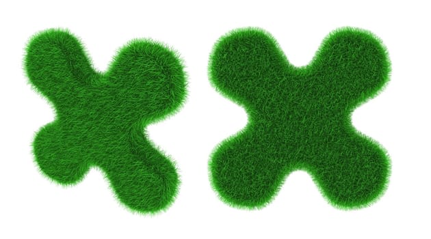 Flower shaped object covered with grass isolated on white background