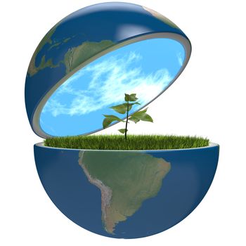 Small plant growing inside opened planet Earth, isolated on white background, concept of ecology, symbol of new life. Elements of this image furnished by NASA