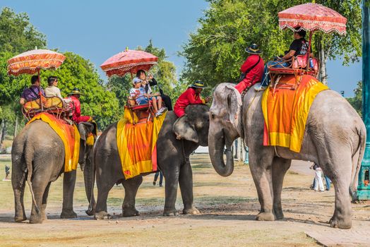 Bangkok, Thailand - December 29, 2013: tourists riding elephants at Ayutthaya in Bangkok, Thailand on december 29th, 2013