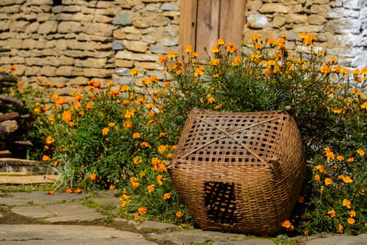 Wicker basket and orange flowers