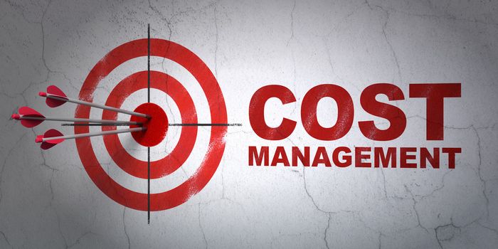 Success business concept: arrows hitting the center of target, Red Cost Management on wall background, 3d render