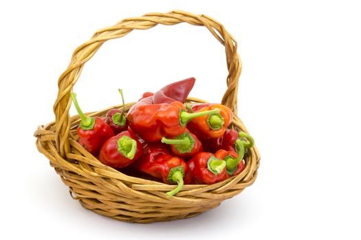 fresh peppers in a basket