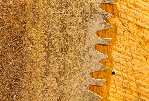 Macro image of the sharp teeth of large circular saw blade which is rusty and is placed against sawn wooden panel