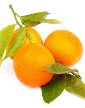 Arrangement of Fresh Ripe Tangerines with Stems and Leafs isolated on White background