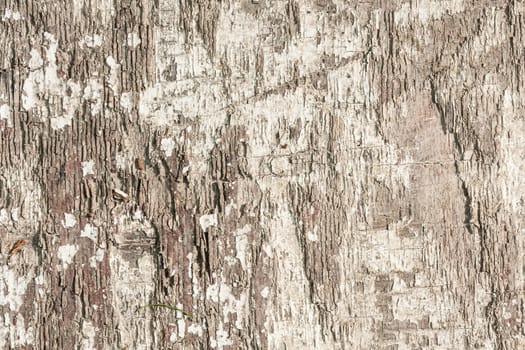 Worn plywood texture