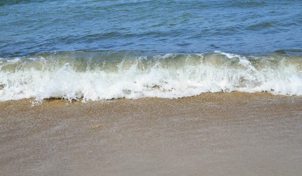 Baltic Landscape with Beach and Sea