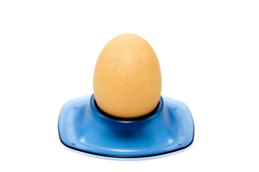 Fresh Brown Egg in Egg Cup