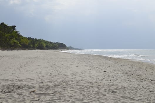 Baltic Landscape with Forest,Beach,Sea and Storm Clouds