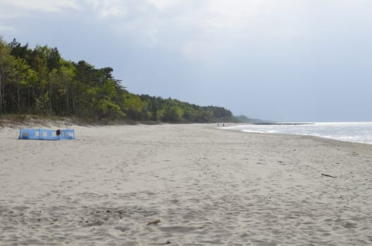 Baltic Landscape with Forest,Beach,Sea and Storm Clouds.