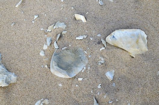 Broken Stones on a Sandy Beach