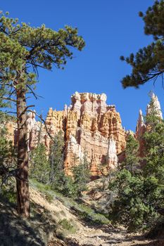 Hoodoos on Mossy Creek Trail in Bryce Canyon 