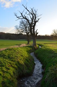 Small countryside stream flowing through open meadow land in Sussex,England.