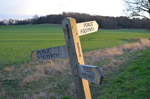 Crocked wooden sign post in the English countryside pointing in the directions of public rights of way.