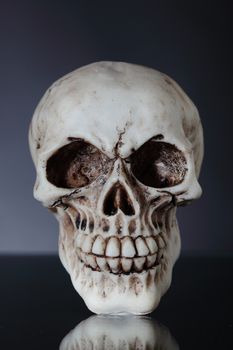 human skull on a black background