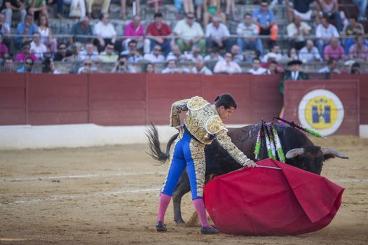 Baeza, Jaen province, SPAIN - 15 august 2009: Bullfighter Julian Lopez El Juli bullfighting with a crutch in a beautiful pass in the Bullring of Baeza, Jaen province, Andalusia, Spain