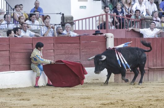 Baeza, Jaen province, SPAIN - 15 august 2010: Bullfighter Luis Francisco Espla bullfighting with the crutch sitting on the volapie of the burladero during a bullfight held in the Bullring of Baeza, Jaen province, Andalusia, Spain