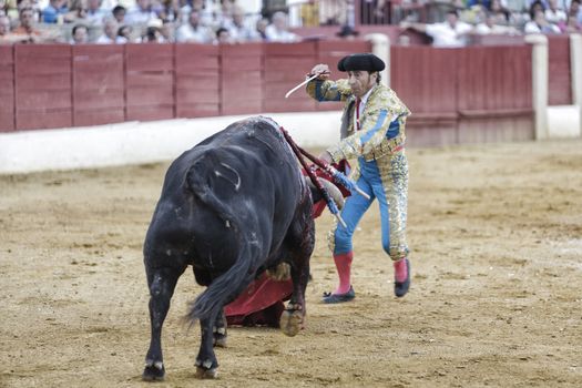 Baeza, Jaen province, SPAIN - 15 august 2009: Bullfighter Luis Francisco Espla stabbing the bull with the sword giving a jump cheating the bull in the Bullring of Baeza, Jaen province, Andalusia, Spain