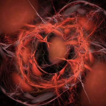 Digital Visualization of a Fractal