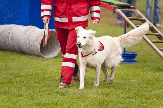 Rescue Dog of a Dog Squadron