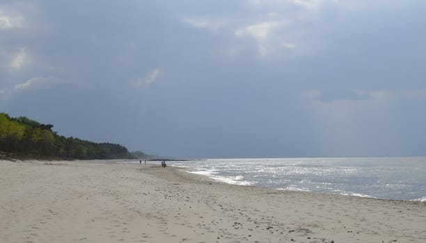 Baltic Landscape with Forest,Beach,Sea and Storm Clouds